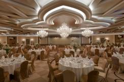 DELPHIN IMPERIAL Meetings